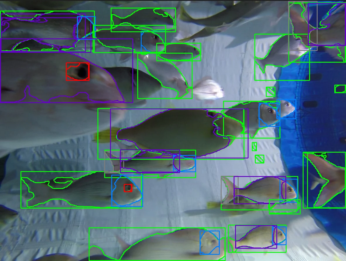 Global Collaboration to Tackle Bycatch with Real-Time AI Monitoring