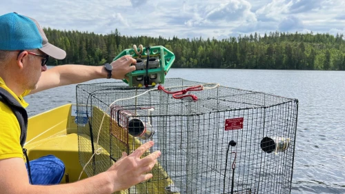 catchcam system for wire trap fishing in finland