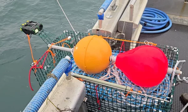 Testing Ropeless Gear in Offshore Lobster Fisheries