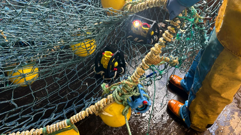 CatchCam and SeaSensor units attached to the gear, collecting behavioural and environmental data in a commercial fishing vessel.
