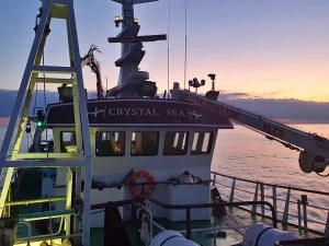 cornish fish producers organisation (sfpo) vessel the crystal sea