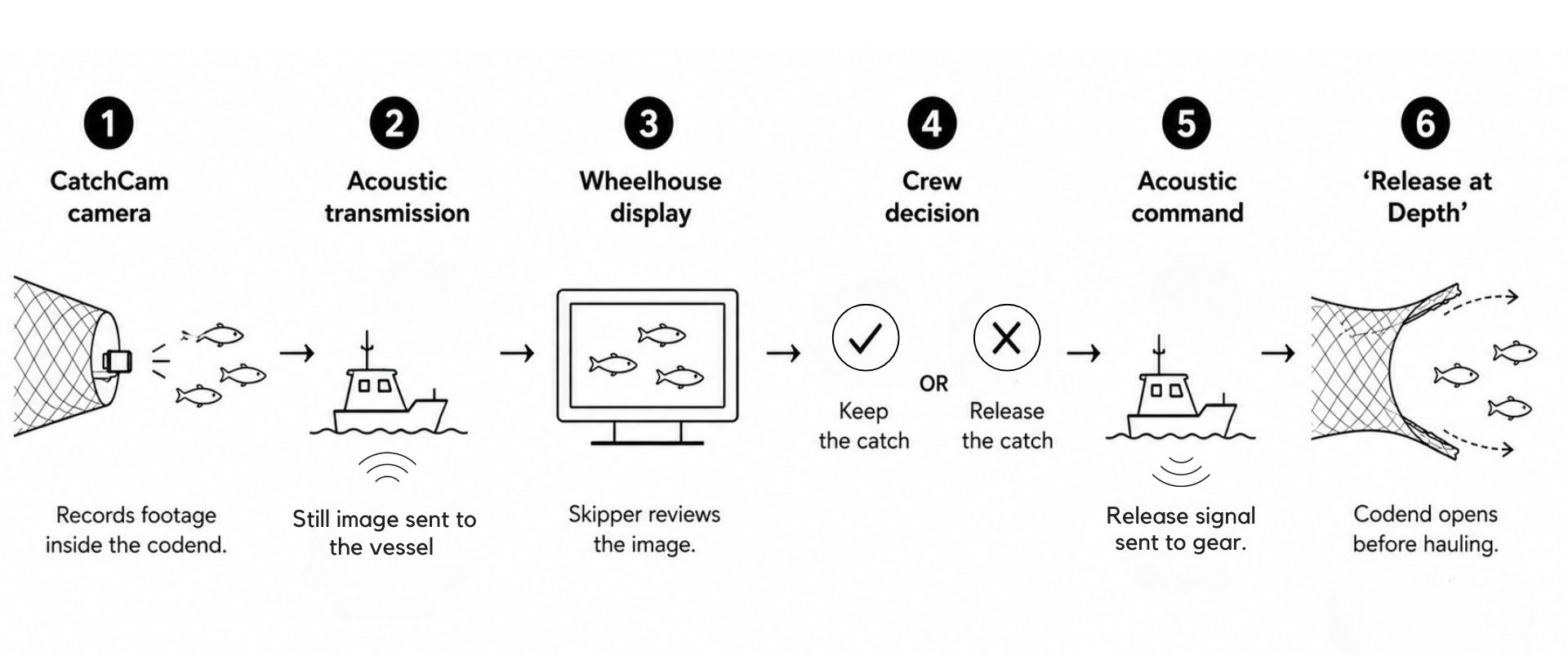 How does the remote codend release work? A step by step into the 'Release at Depth' system with FloMo and CatchCam.