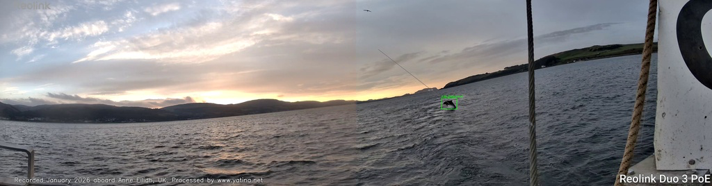 The yatina.net application detects dolphins based on a combination of AI (YOLO), movement analysis and heuristics.