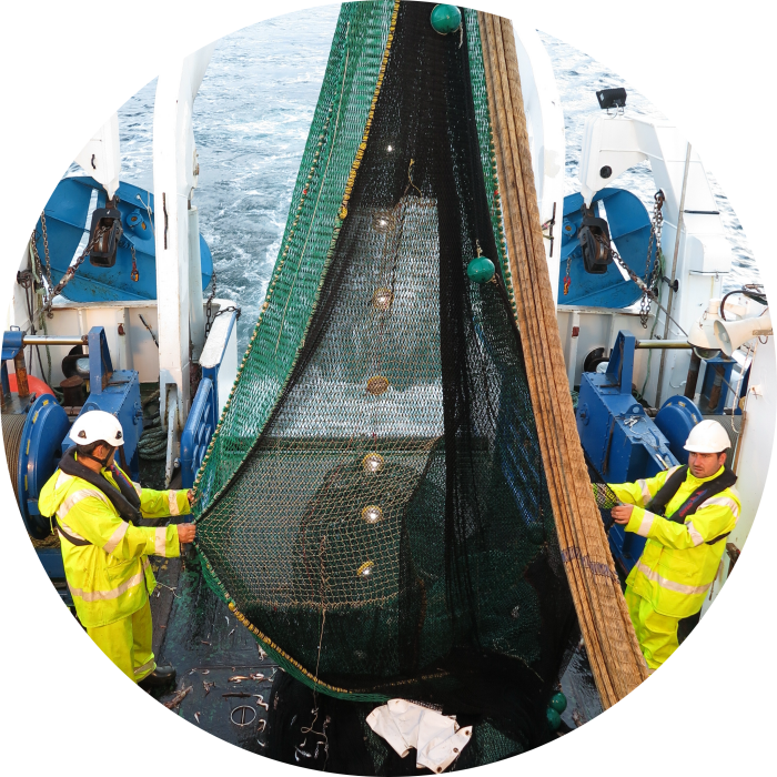 PISCES on commercial fishing net