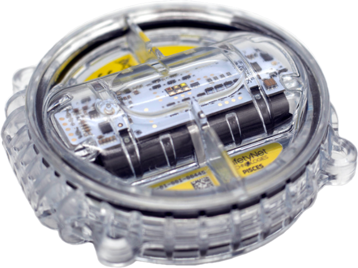 Pisces light with attaching holes