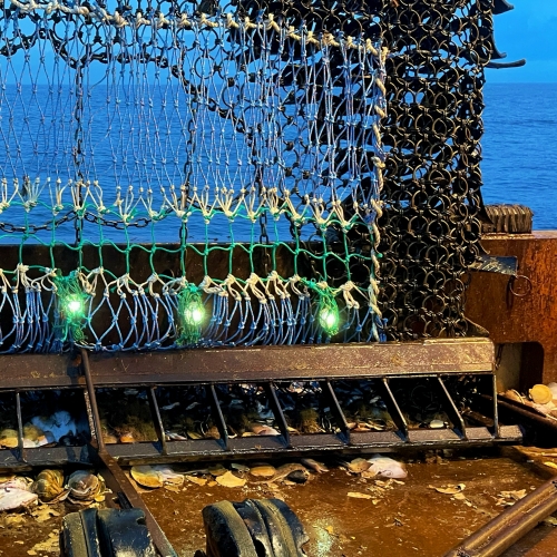 Bering Sea Captain