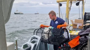 LED fishing lights being deployed in pot traps in fishing light trial by pot fishing agency with Stefan