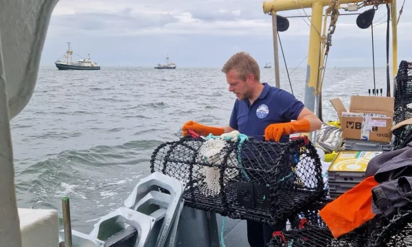 LED fishing lights being deployed in pot traps in fishing light trial by pot fishing agency with Stefan