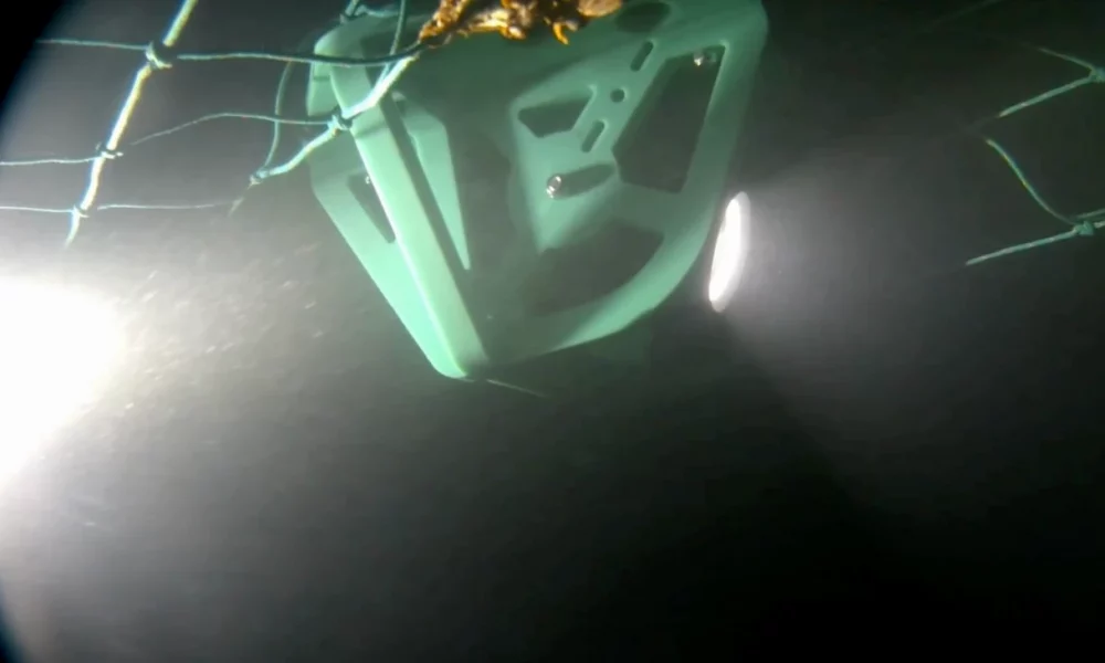 Catchcam camera to inspect your fishing gear